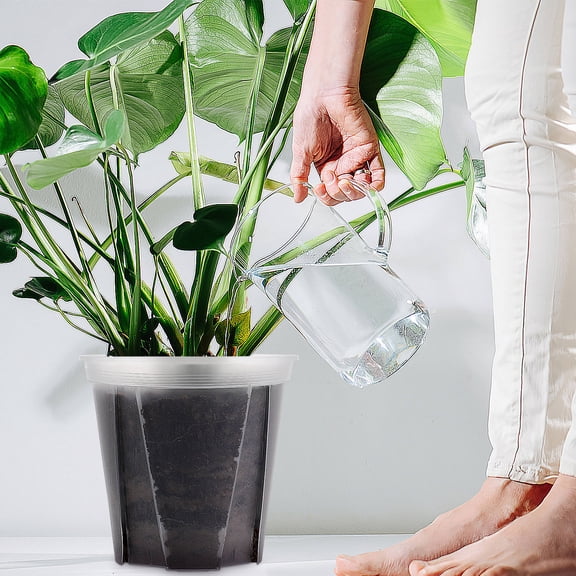 MEIBUTYUP 2-Pack Clear Plastic Planter Pots for , Small Cactus, Indoor Garden, Transparent Plant Containers