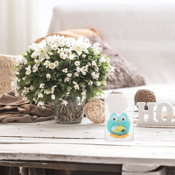 MEIBUTYUP Figurine Storage Box Transparent Acrylic 6Pcs