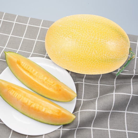 MEIBUTYUP Artificial Plastic Cantaloupe Fruit Fake Fruit for Home Decor, Art, Sketching, and Display