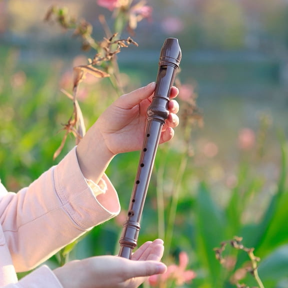 MEIBUTYUP Plastic Flute Recorder Instrument Coffee Resin Traditional Design for School Bands Students 1 Pack