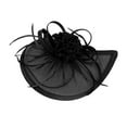 thumbnail image 1 of MEICHEN Fascinators Hats for Women Elegant Cocktail Church Hat Flower Feather Mesh Tea Party Hat Leisure Hats Black, 1 of 6