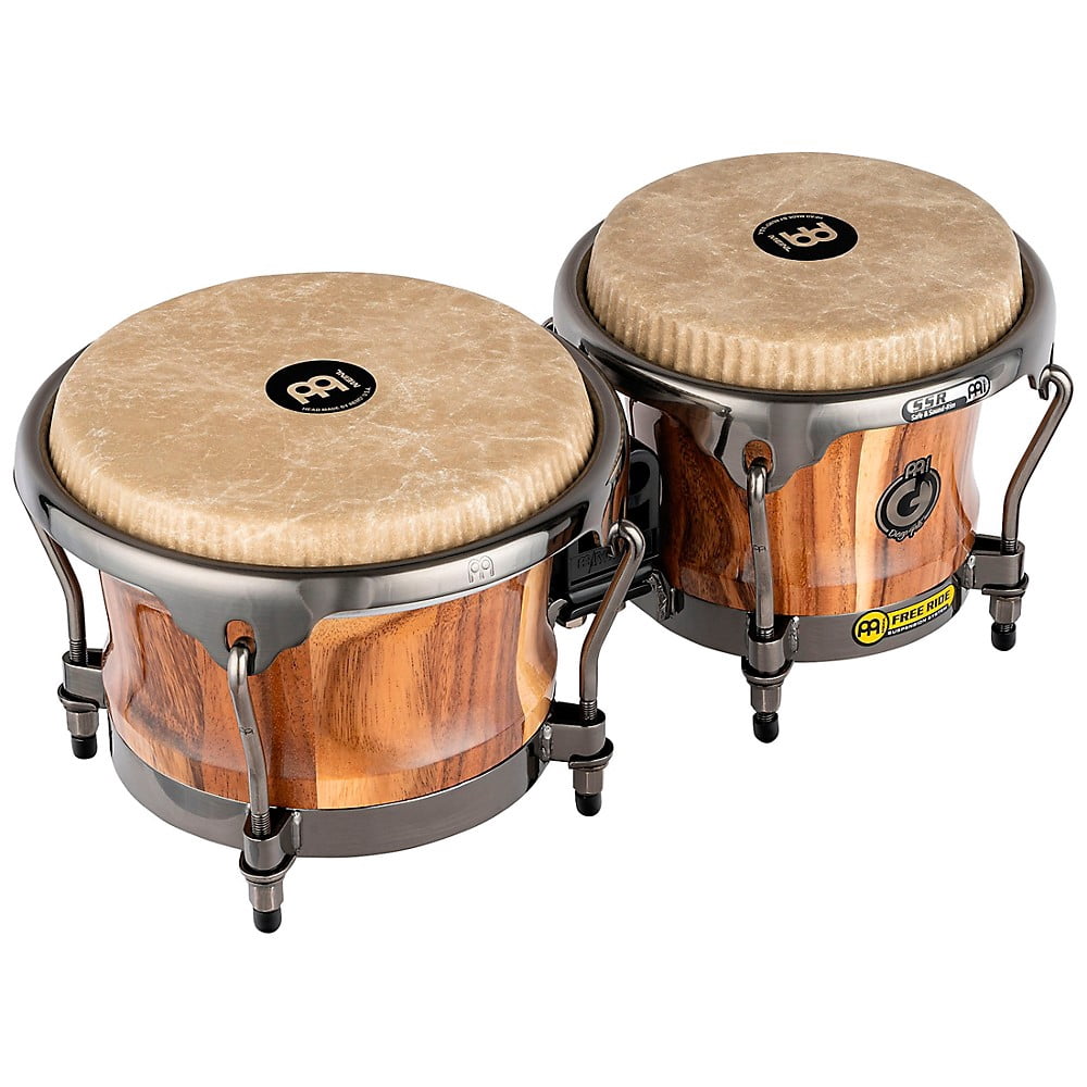 Remo Bongos