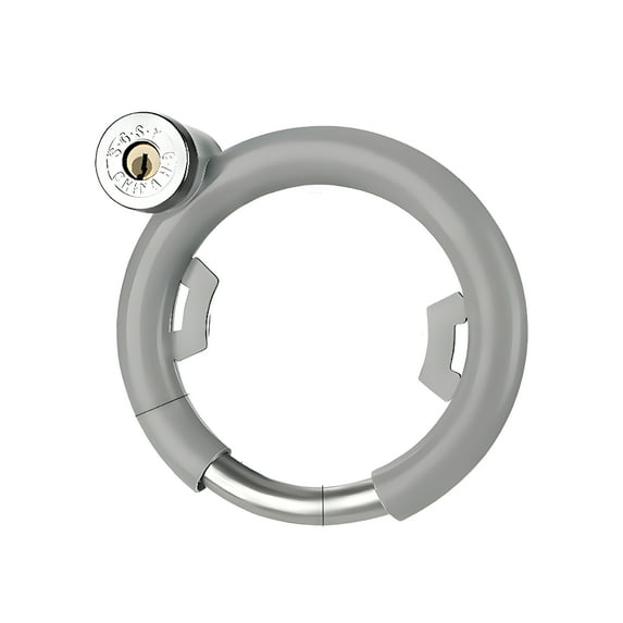 MELIVO Bike Lock,4.84" Electric Scooter Lock,Horseshoe Lock Bike Lock with Key,Gray