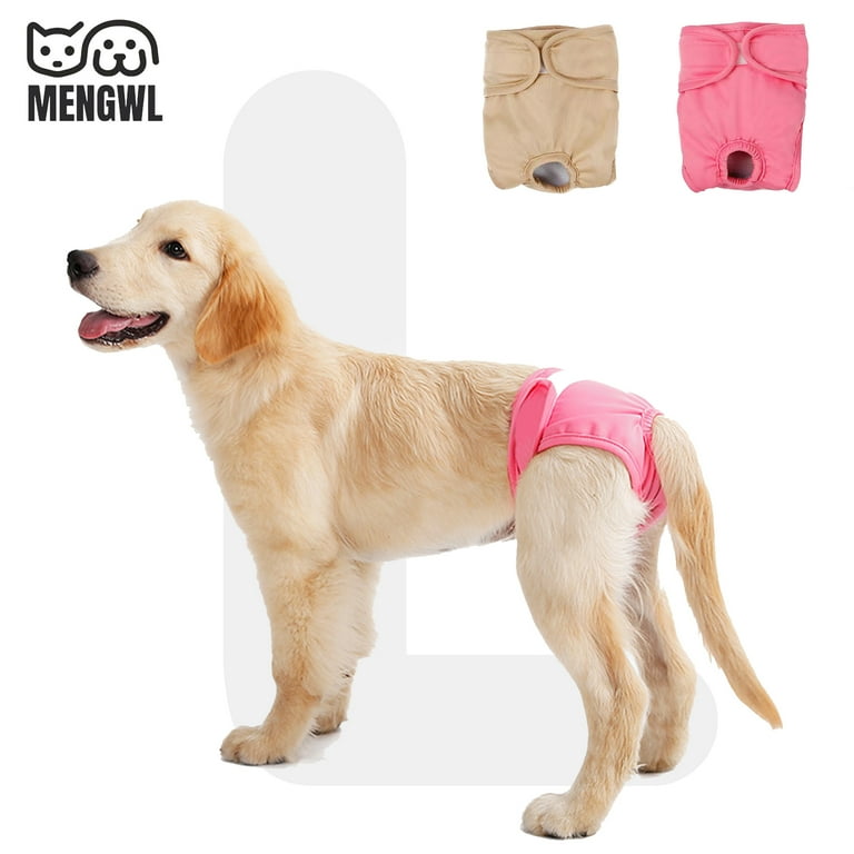 Nappy on dog on sale
