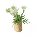 thumbnail image 1 of MERIGLARE 3X 1/12 Miniature Flower Bonsai Ornament Simulation for Yard Decoration White, 1 of 8