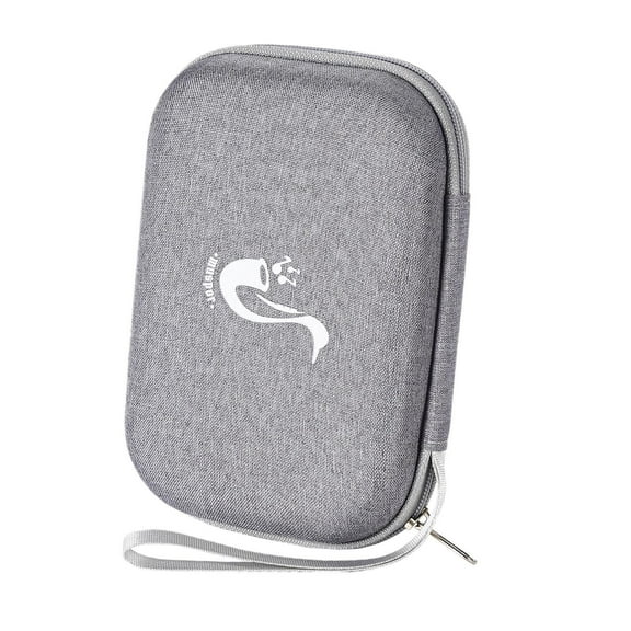 MERIGLARE Saxophone Reeds Case,Reeds Case,Portable,20 Pc Reeds,Storage Case Accs,Clarinet Reeds,Waterproof,Storage Holder for Clarinet gray