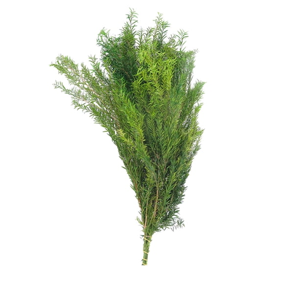 MERILER Natural-Looking Dried Plant Inflorescence Decoration - 10pcs Faux Branches Stems with Lifelike Leaves for Vase Centerpiece.