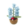 thumbnail image 1 of MERILER Soft Wool Crochet Succulent Car and Home Decorations - Cute Knitted Decorative Potted Plants with Aromatherapy Function, Perfect Gifts for Birthdays and Special Occasions., 1 of 7