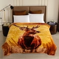 thumbnail image 1 of MERRY HOME Queen Fleece Bed Blanket For Winter, Polyester Soft Fleece Blanket&Throw, Korean Style, 77"x87", 1 of 8