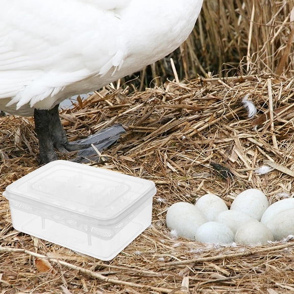 MERRYHAPY Reptile Hatchery Box 16-Compartments Lightweight White for Home