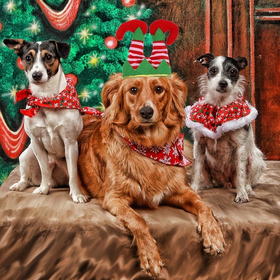 MERRYHAPY Christmas Clown Hat for Pets, Green Polyester Soft Breathable Decorative Headdress for Dogs and Cats