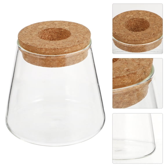 2-Pack Transparent Glass Terrarium Planter for Desktop, Hydroponic Landscape Containers for Home and Office Decor