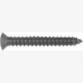 thumbnail image 1 of MET TORX TRIM SCREWS-GM 10 PC, 1 of 1