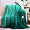 thumbnail image 1 of MEUDYT Heated Blanket for Adult, Soft Faux Fur & Sherpa Electric Blanket, Fast-Heating with 10 Heating Levels & 5 Options Auto off, 50.1"x 60.1", New Green, 1 of 8