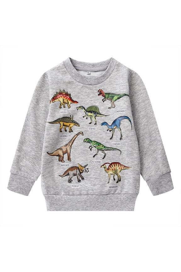 Boys Hooded Sweatshirt Long Sleeve Dinosaur Print Pullover Soft Kids Tops For Fall Winter Casual Blouse Soft Toddler Blouses Clothing