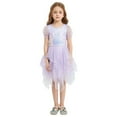 thumbnail image 1 of MEZZALL Girls Dress Sequin Puff Sleeve Party Dress For Toddler Kids Elegant Net Layered Tutu Outfits 5Y Cozy Kids Wear, 1 of 3