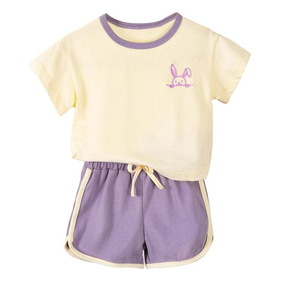 MEZZALL Girls Outfits Set Baby Toddler Clothes Summer Floral Print T Shirt Shorts 2 Piece Outfits For Casual Beach School Party Classic Clothing
