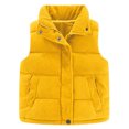 thumbnail image 1 of MEZZALL Girls Quilted Vest Winter Warm Padded Sleeveless Jacket Outerwear Solid Color Toddler Kids Cozy Soft Windproof Cold Weather Fashion Coats Boho Child Streetwear, 1 of 5