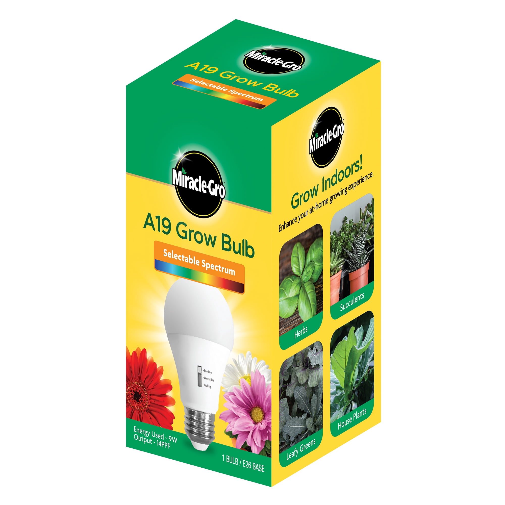 MG A19 GROW BLB