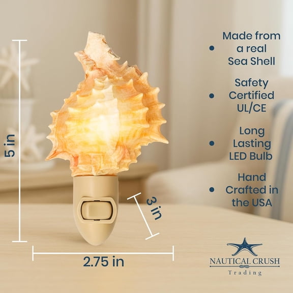 MHAWBL-Seashell Night Light Beach Night Light with Pink Murex Shell Light for Bathroom Sea Shell Lamp Seashell Lamp Plug Into Wall