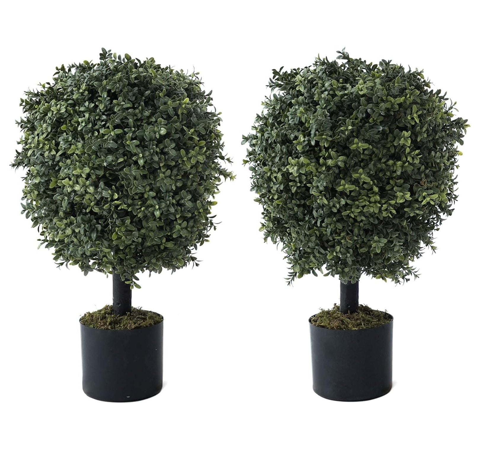 Set of 2 Green Artificial Boxwood Topiary Trees in Black Pots