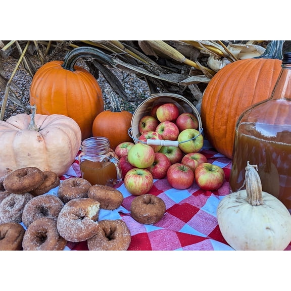 MI Fall Harvest - 500-Piece Jigsaw Puzzle from So Puzzled Puzzle Company
