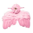 thumbnail image 1 of MIASHUI Angel Baby Wings Photography Prop Soft Photography Costume Role Play Angel Baby Costume Infant Clothing Accessories Pink, 1 of 7