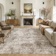 MICGEEK 8x10 Washable Area Rugs for Living Room, Modern Abstract Printed Rug, Vacuum-Friendly, Non Slip Indoor Rug for Bedroom Dining Room Home Decor Carpet, Br