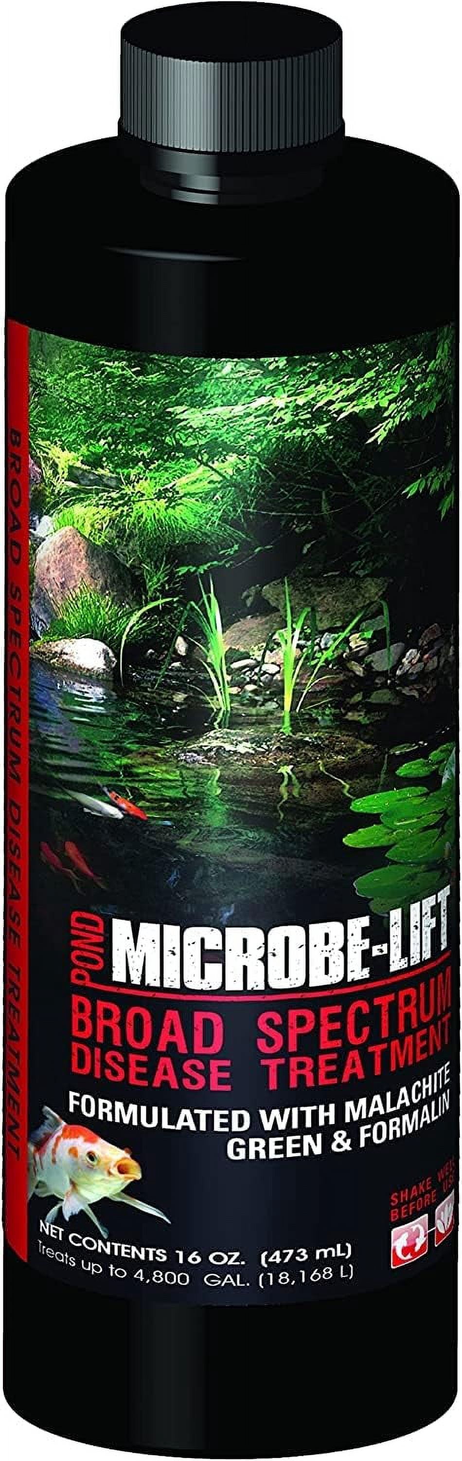 Broad Leaved Plant Leaves For Koi Ponds Reference: Microbe Lift Bsdt16 Broad Spectrum Disease Treatment For Ponds And