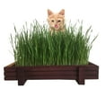 MICROGREEN PROS Indoor Cat DHF10 Grass Kit with Rustic Certified