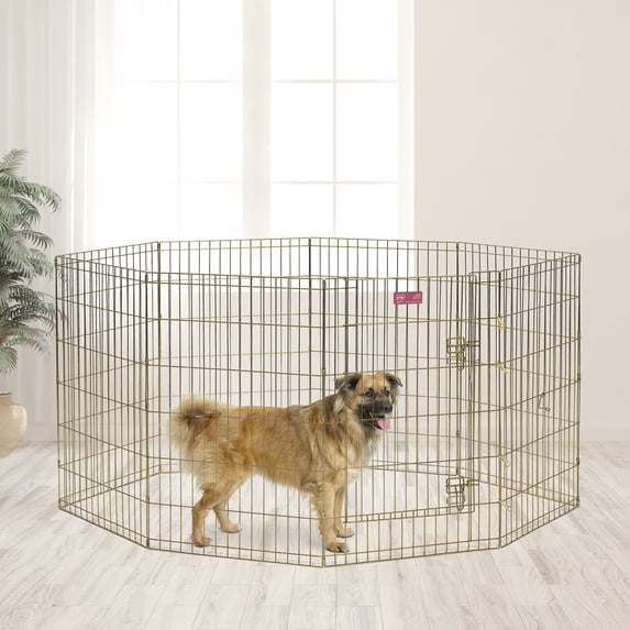 Midwest Homes For Pets 36-Inch Gold Zinc Exercise Pen with Door