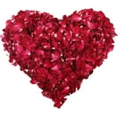 Clearance PEONAVET 100Pcs Rose Petals,Red Silk Rose Flower Petals Decorations Artificial Flowers Petals for Romantic Night,Wedding, Valentine'S Day, Birthday,Proposal Anniversary Flower Decor