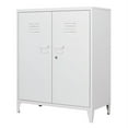 thumbnail image 1 of MIIIKO Metal Locker with 2 Doors, Metal Storage Sideboard Accent Cabinets for Kitchen, Pantry, Home Office and Garage, 1 of 7