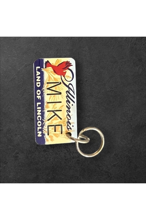 MIKE Name Keychain License Plate Illinois Land of Lincoln Great Gift 2 New
