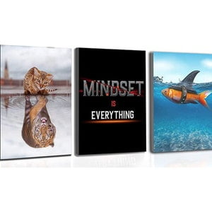 MINDSET IS EVERYTHING - Motivational Office Wall Art - Inspirational Mindset Wall Art for Home Gym and Office Wall Decor Set of 3, Poster Only