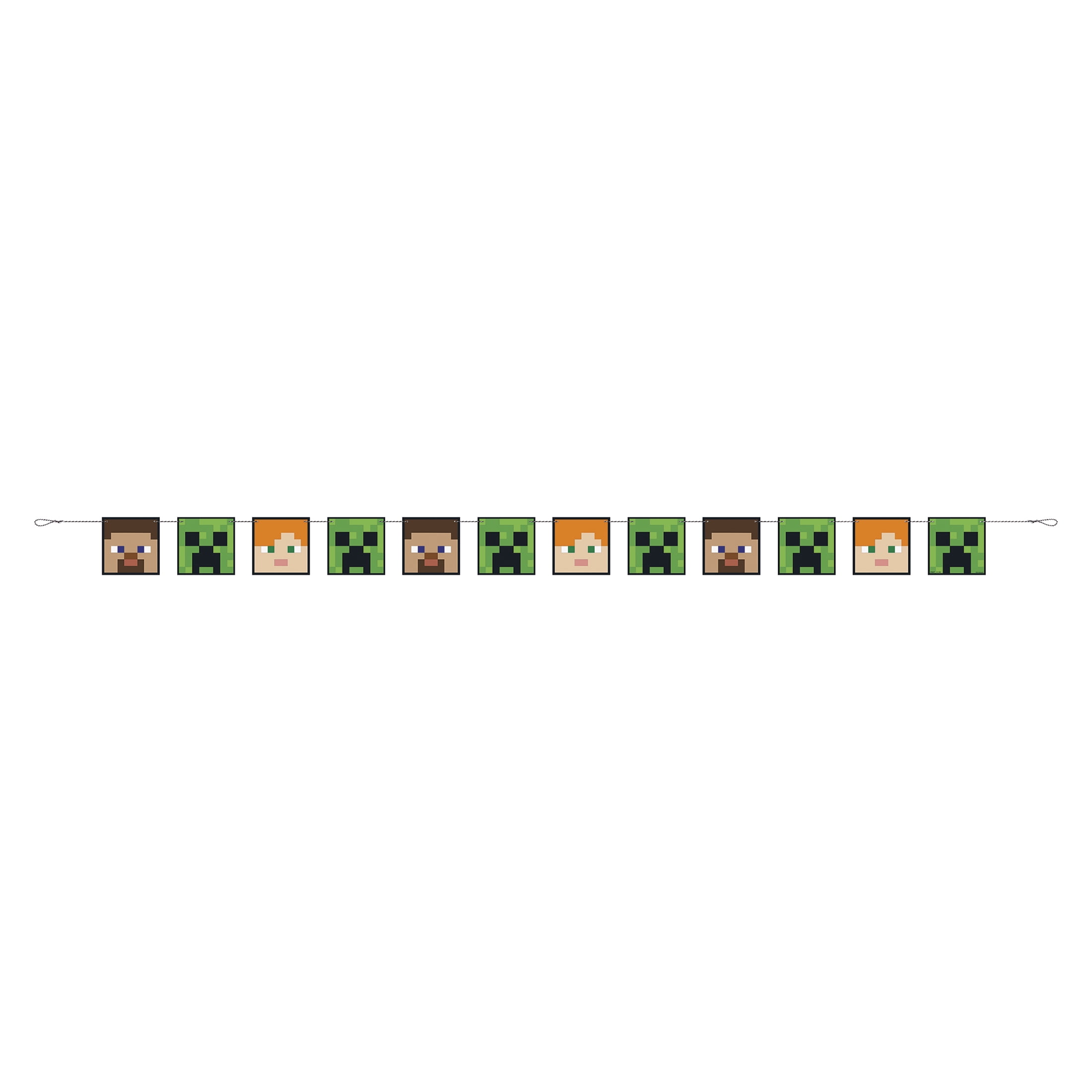 Minecraft 1 Count Happy Birthday Party Banner
