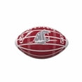 thumbnail image 1 of MINI GLOSSY FOOTBALL, 1 of 1