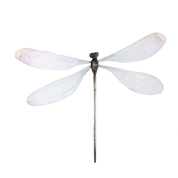 MINIMALIST DRAGONFLY Poster Print by Atelier B Art Studio