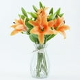 thumbnail image 1 of 16 Pcs Artificial Tiger Lily Real Touch Fake Easter Lily Flowers for Wedding Home Party Easter Decoration Plastic Lily Faux Flowers Orange, 1 of 4
