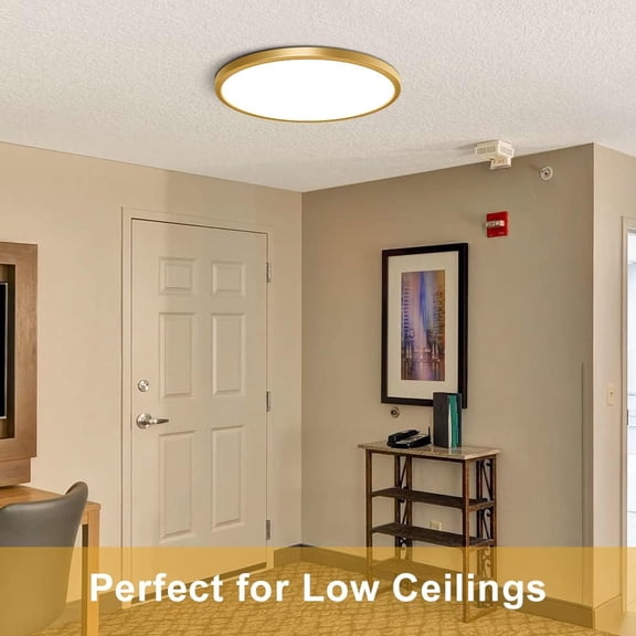 MINSUI-12 Inch Gold Flush Mount Ceiling Light, 2 Pack 24W 3200LM 5000K Daylight White LED Ceiling Light Fixture, Ultra Thin Round Flat Ceiling Light for Bedroom, Kitchen, Bathroom, Hallway
