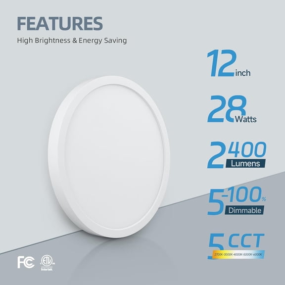 MINSUI-12inch LED Flush Mount Ceiling Light, 5CCT Selectable Round Flat Panel Light, 28W 2400Lm, Dimmable Surface Mount Lighting Fixture for Kitchen, Hallway, Laundry, ETL Listed, 2 Pack
