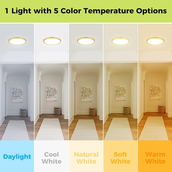 MINSUI-2Pack LED Flush Mount Ceiling Light Fixture Golden, 12Inch 24W, Dimmable&3000K-6500K Adjustable Low Profile Ceiling Lights, 3200LM Modern Lamp for Kitchen, Bedroom, Porch, Hallway
