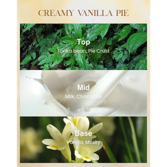 MINSUI-Creamy Vanilla Pie Scented Candle, 14.1oz 60 Hours Long Lasting Candles, Large Non Toxic Natural Soy Vanilla Gift for Cozy Home Decor