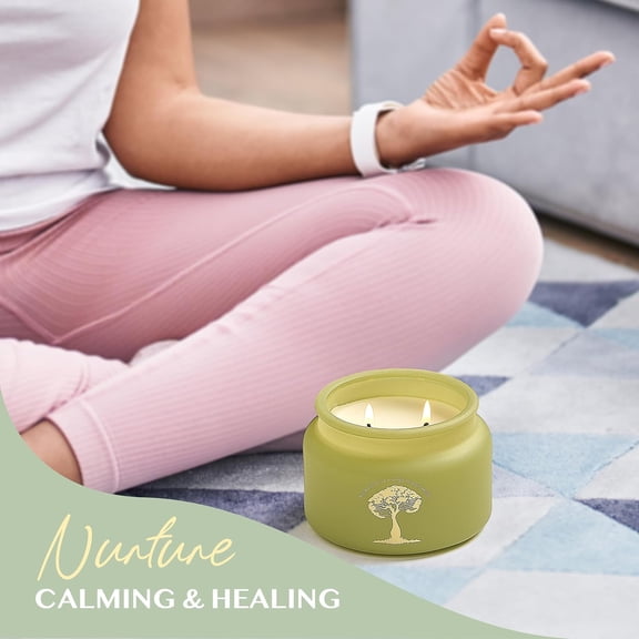 MINSUI-Healing | 2-Wick Scented Candles for Home | Natural Non Toxic Soy Candles with Essential Oils | Eucalyptus & Peppermint | 50 Hour Long Burning | Aromatherapy Candle Jar with Lid - 9.5 oz