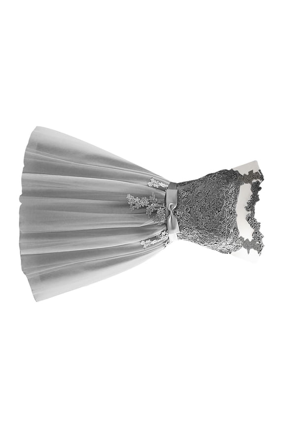 1Set Blush Formal Dress Women Bridesmaid Dress Dark Grey Lace Fitted Design for Artistic Photo Shoot