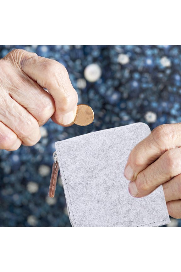 4Pcs Purse Felt Mini Wallet for Women Thicken School Use