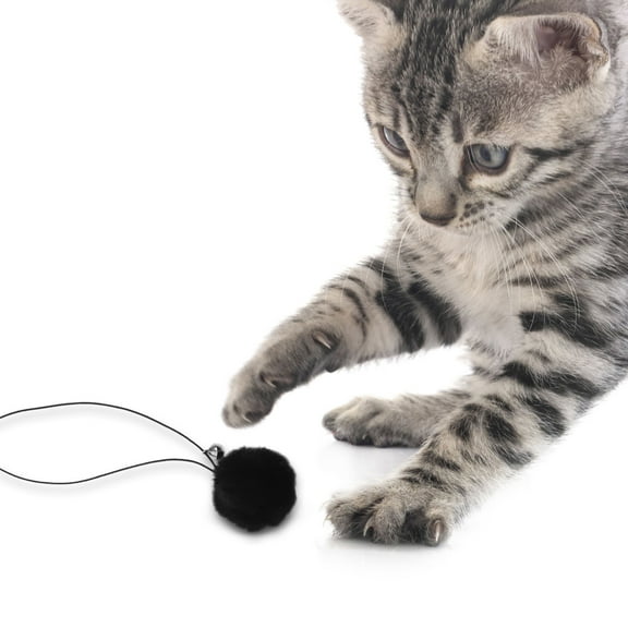 MIPCASE 4Pcs Replacement Balls for Scratching Posts and Cat Trees Black Plush Balls