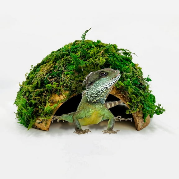 MIPCASE Reptile Hide and Cave Green Terrarium Ornament Safe Shelter with Lifelike Details for Turtles and Frogs