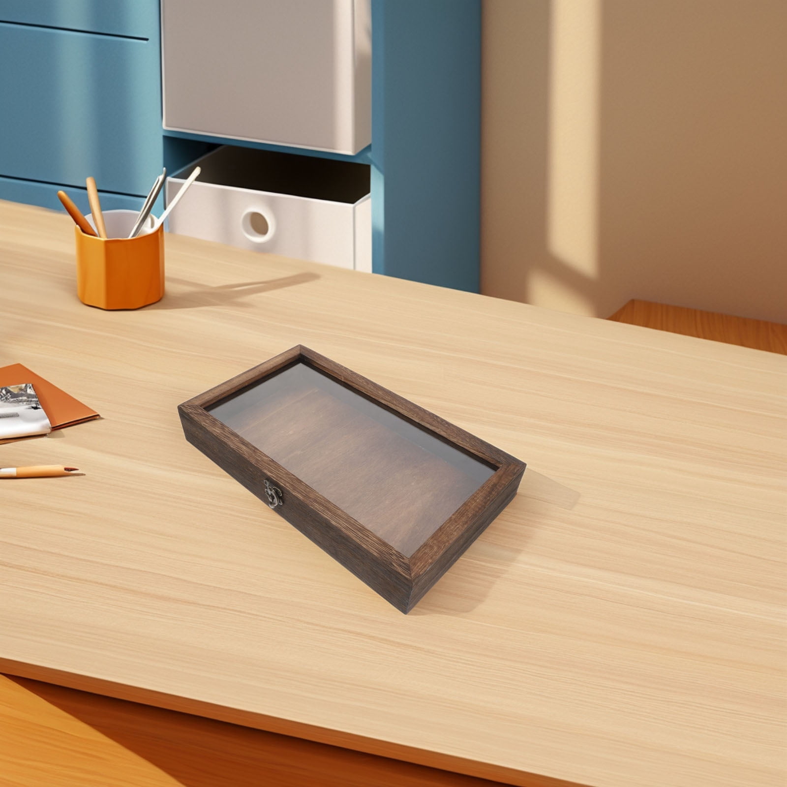 MIPCASE Wooden Butterfly Specimen Display Case with Clear Lid for ...