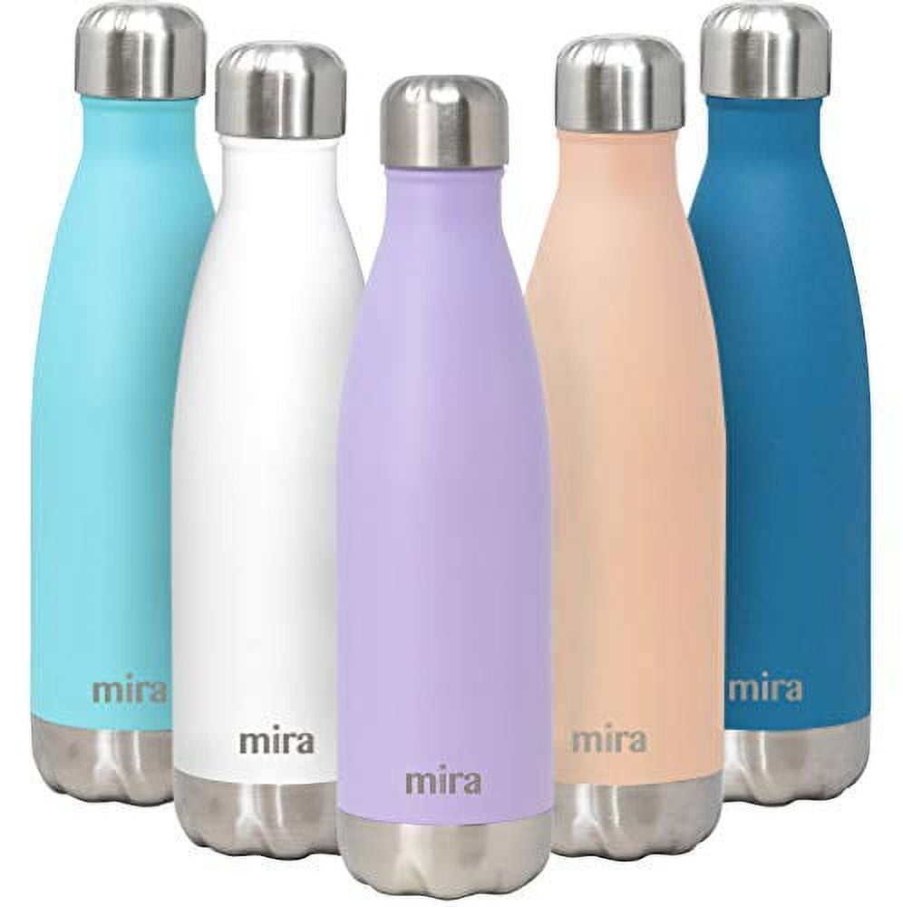 MIRA 12oz Insulated Kids Water Bottle with Straw Lid & Handle, Stainless  Steel, Dinosaurs 